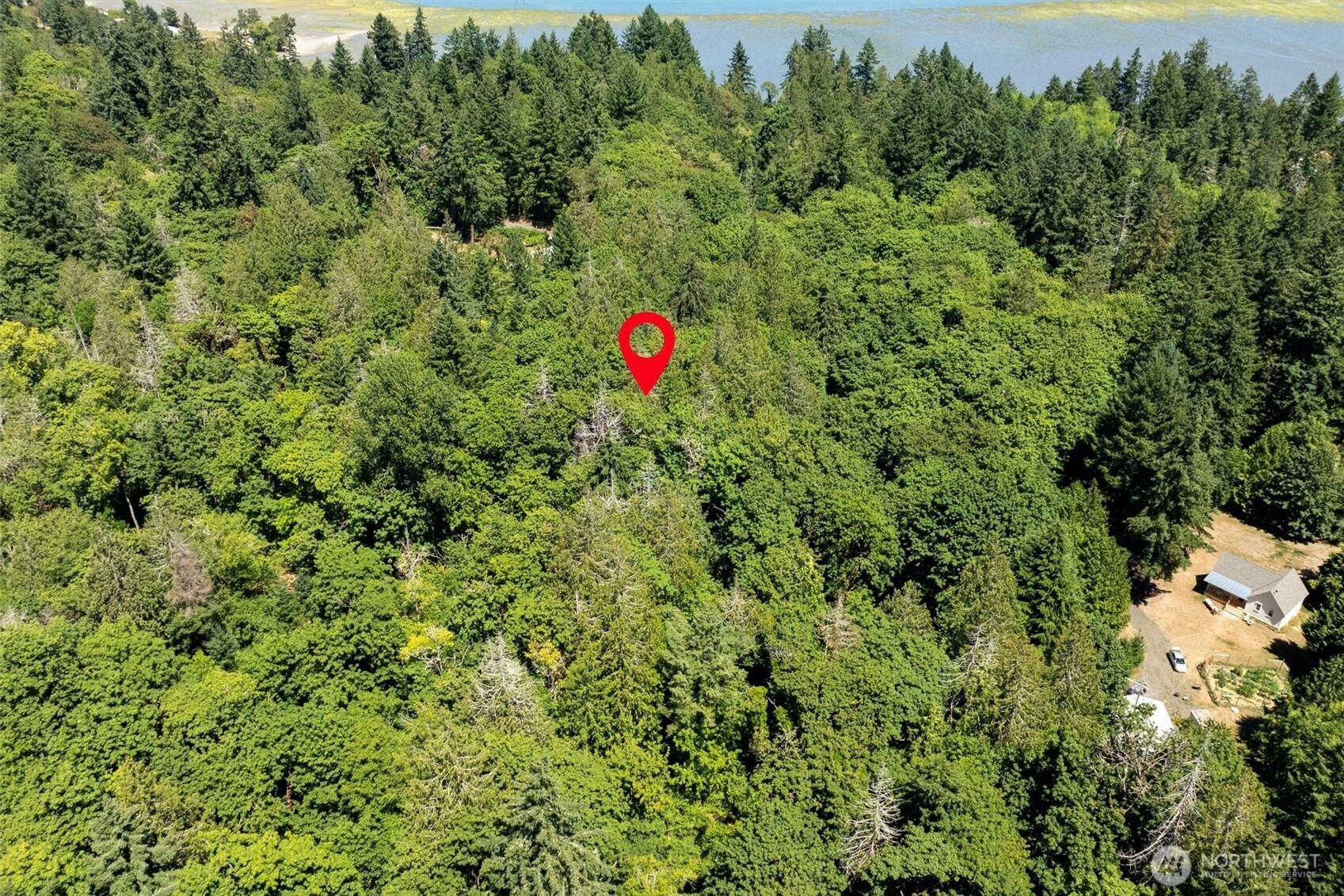 14802 Delano Road Southwest Lakebay, WA 98349 - Photo 5 of 16 a view of a yard with plants and wooden fence