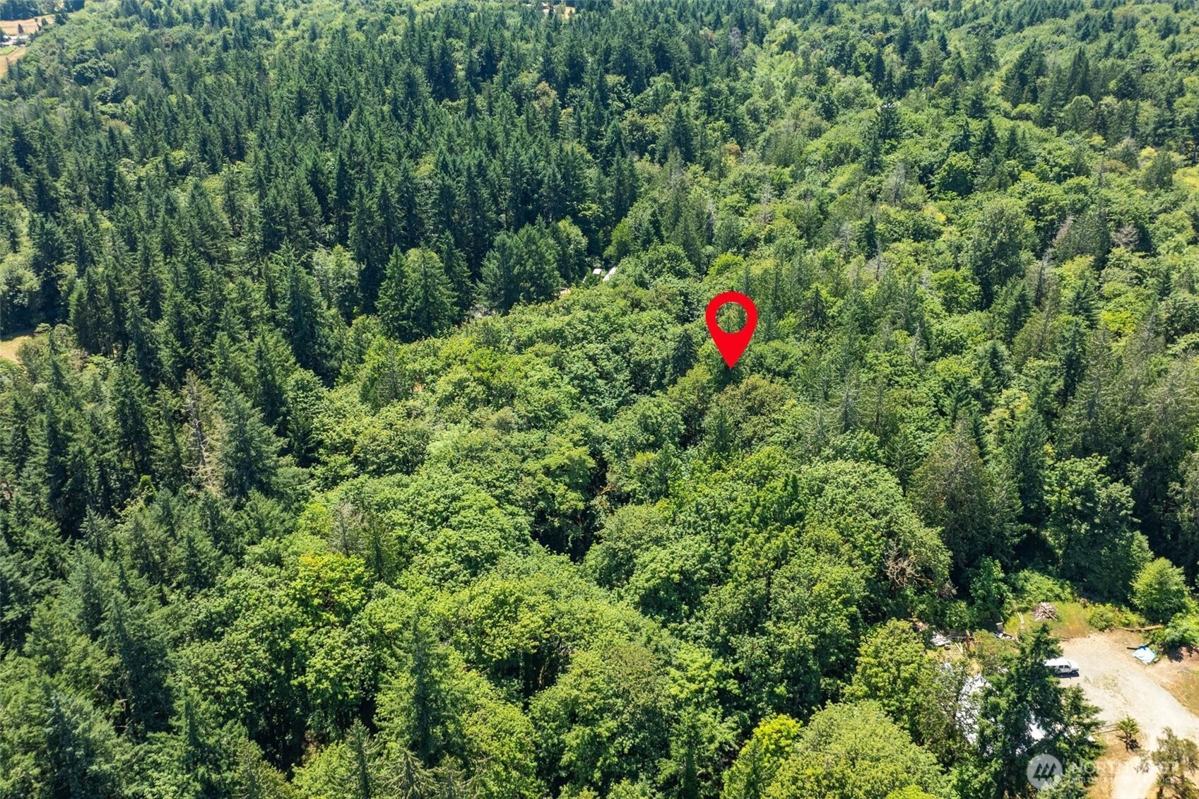 14802 Delano Road Southwest Lakebay, WA 98349 - Photo 6 of 16 a view of a outdoor space and a yard