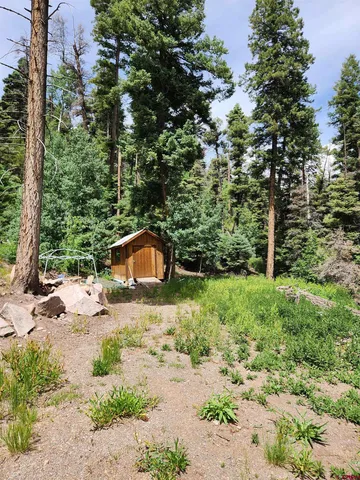 a backyard of a house with a large tree