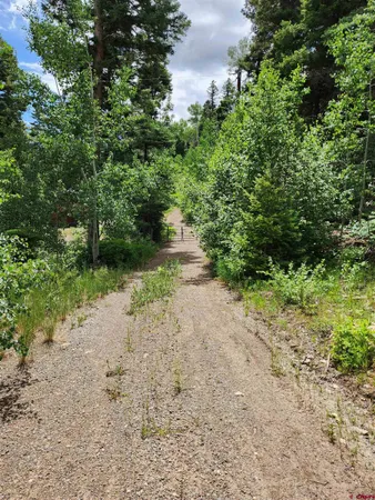 a view of a dirt pathway both side of yard