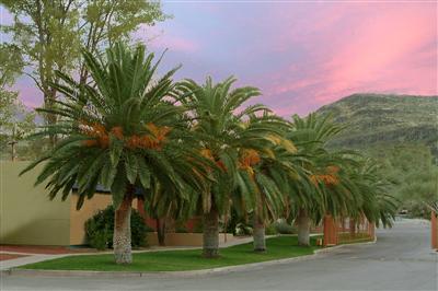350 North Silverbell Road, Unit 73 Tucson, AZ 85745 - Photo 2 of 10