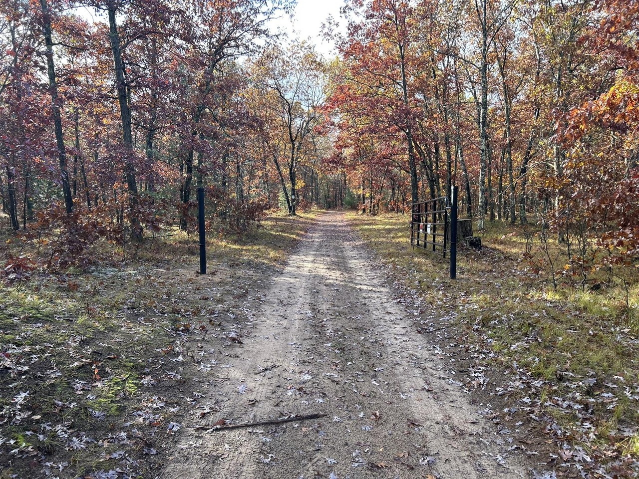 East County Line Road Manistee, MI 49660 - Photo 5 of 32