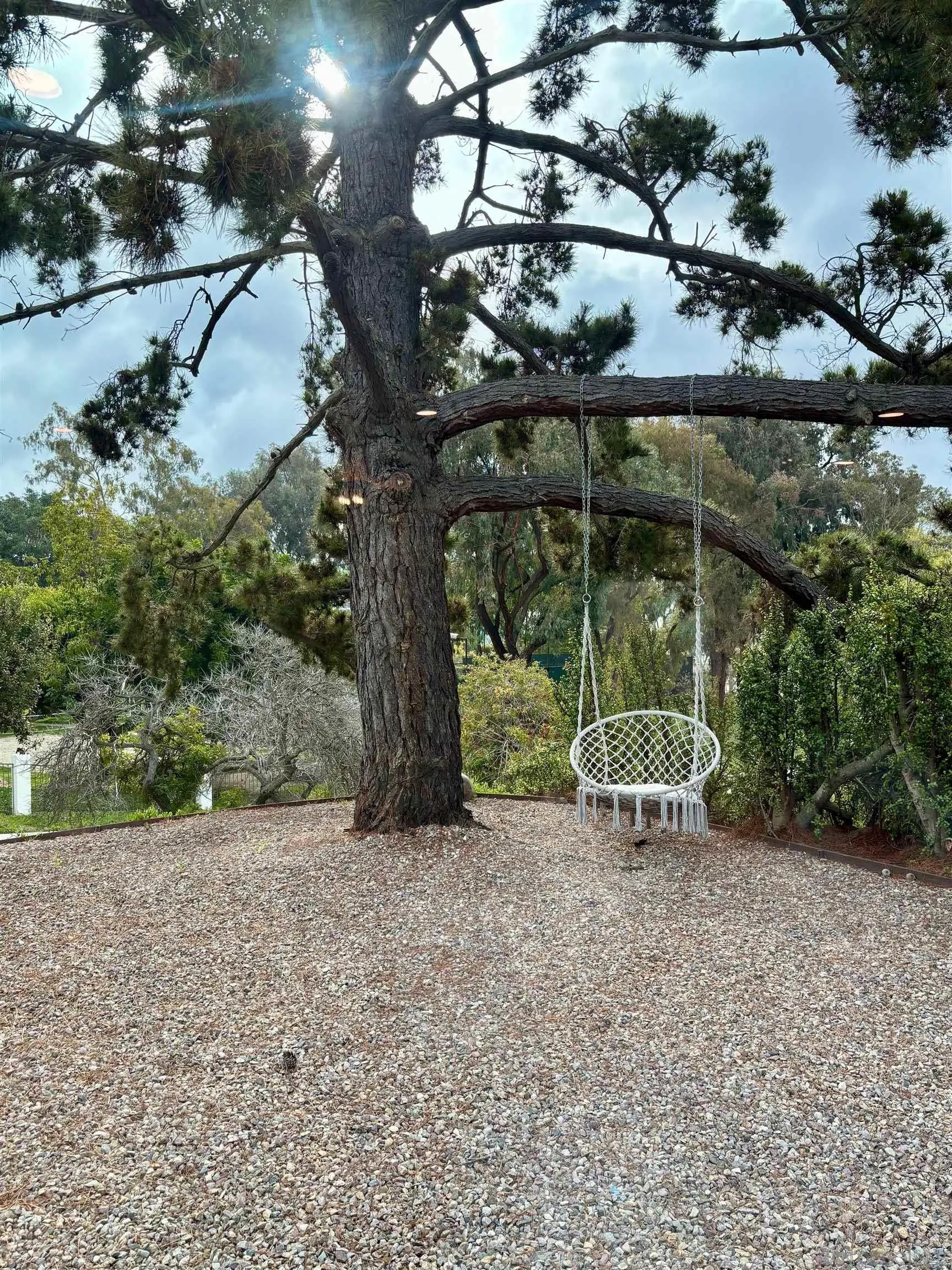 4856 Pacifica Drive San Diego, CA 92109 - Photo 2 of 32 a view of outdoor space with garden view