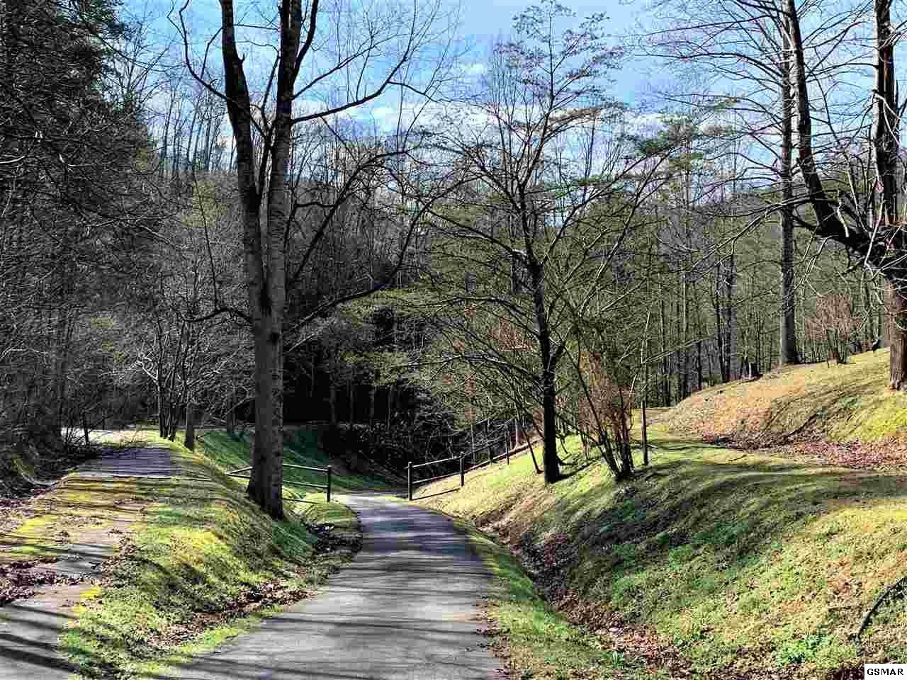 933 Caney Creek Road Sevierville, TN 37863 - Photo 8 of 36