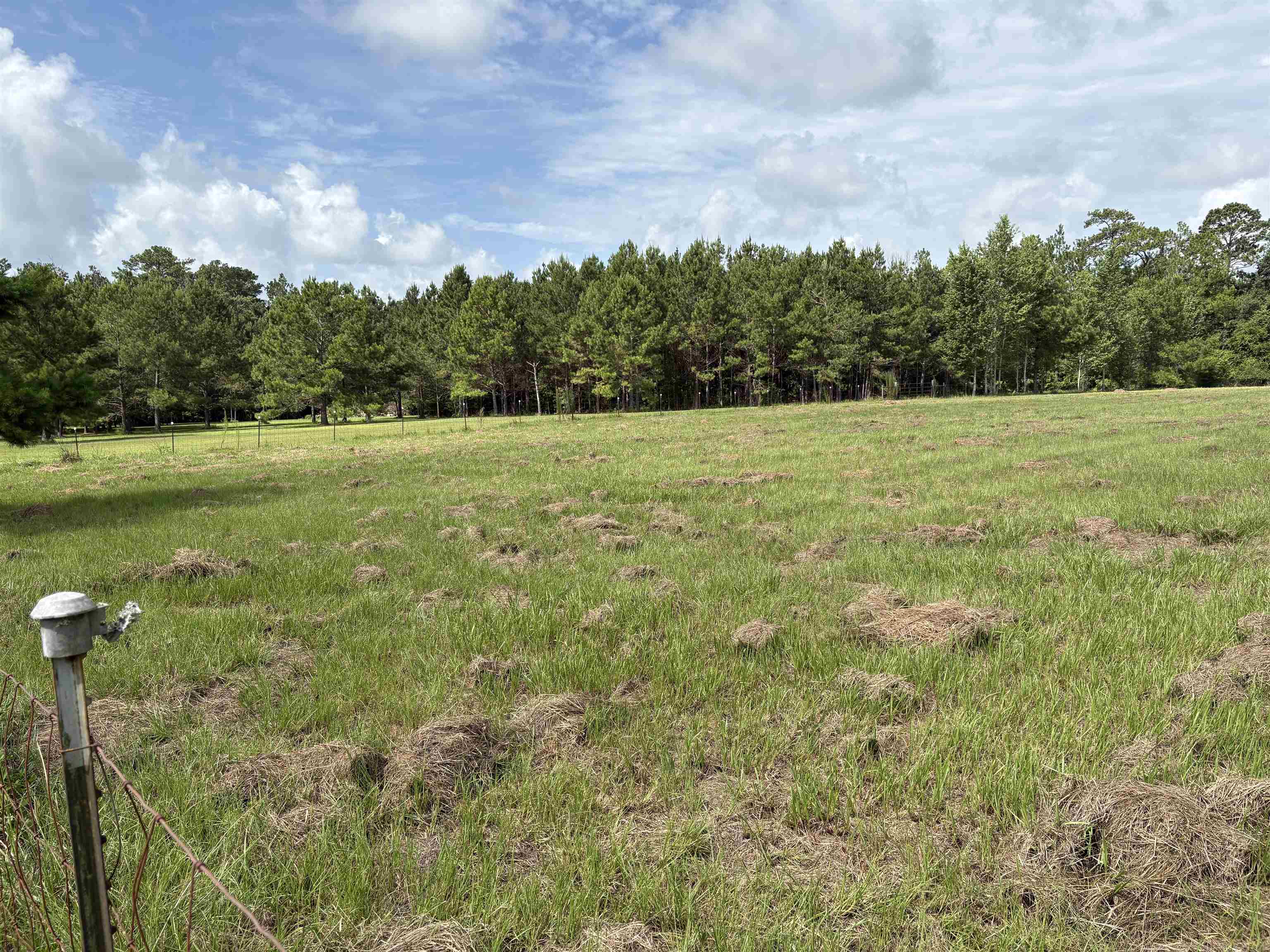 458 Watermill Road Monticello, FL 32344 - Photo 11 of 11