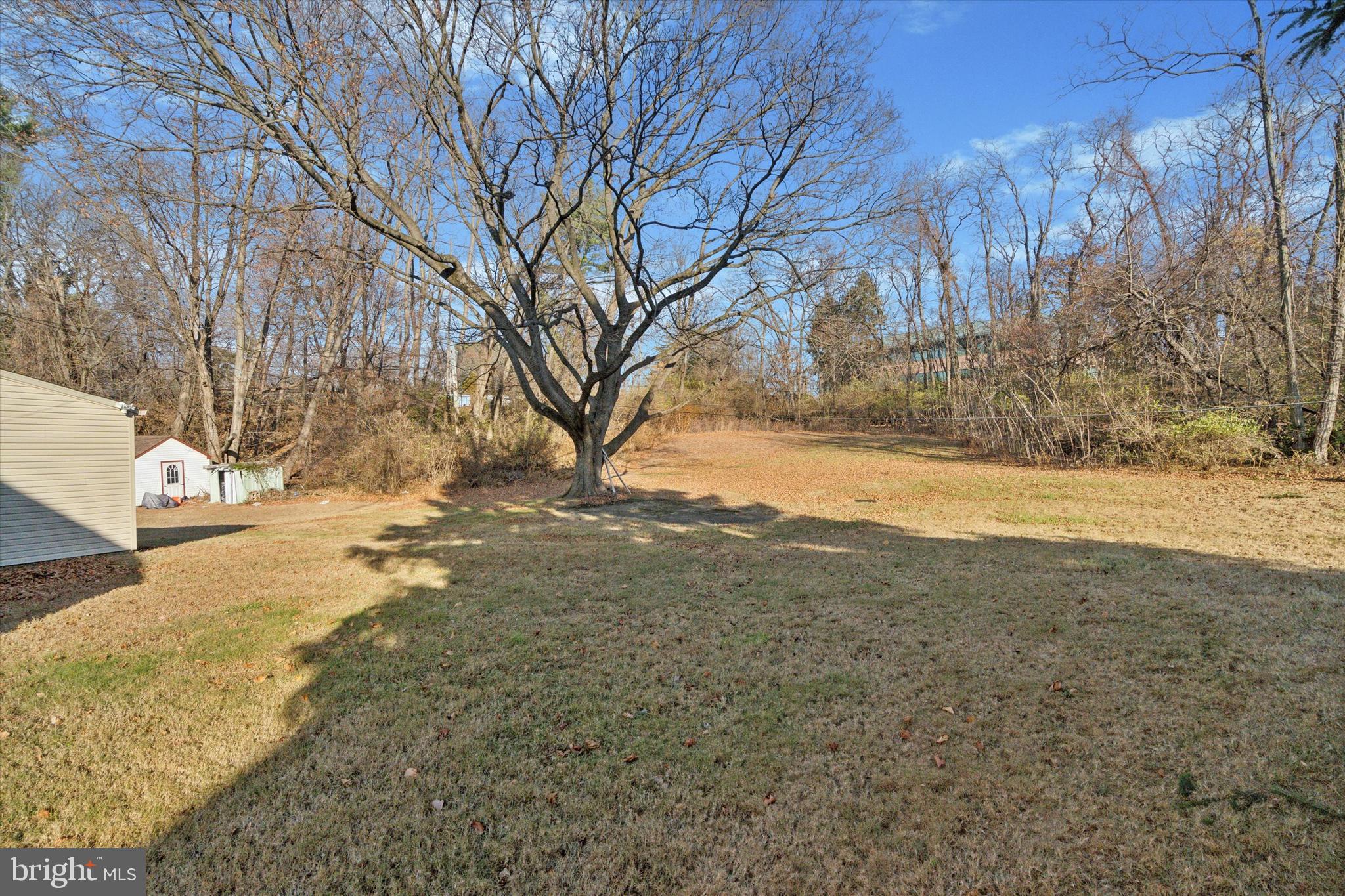 17 Pearson Circle Springfield, PA 19064 - Photo 22 of 34 What a yard!