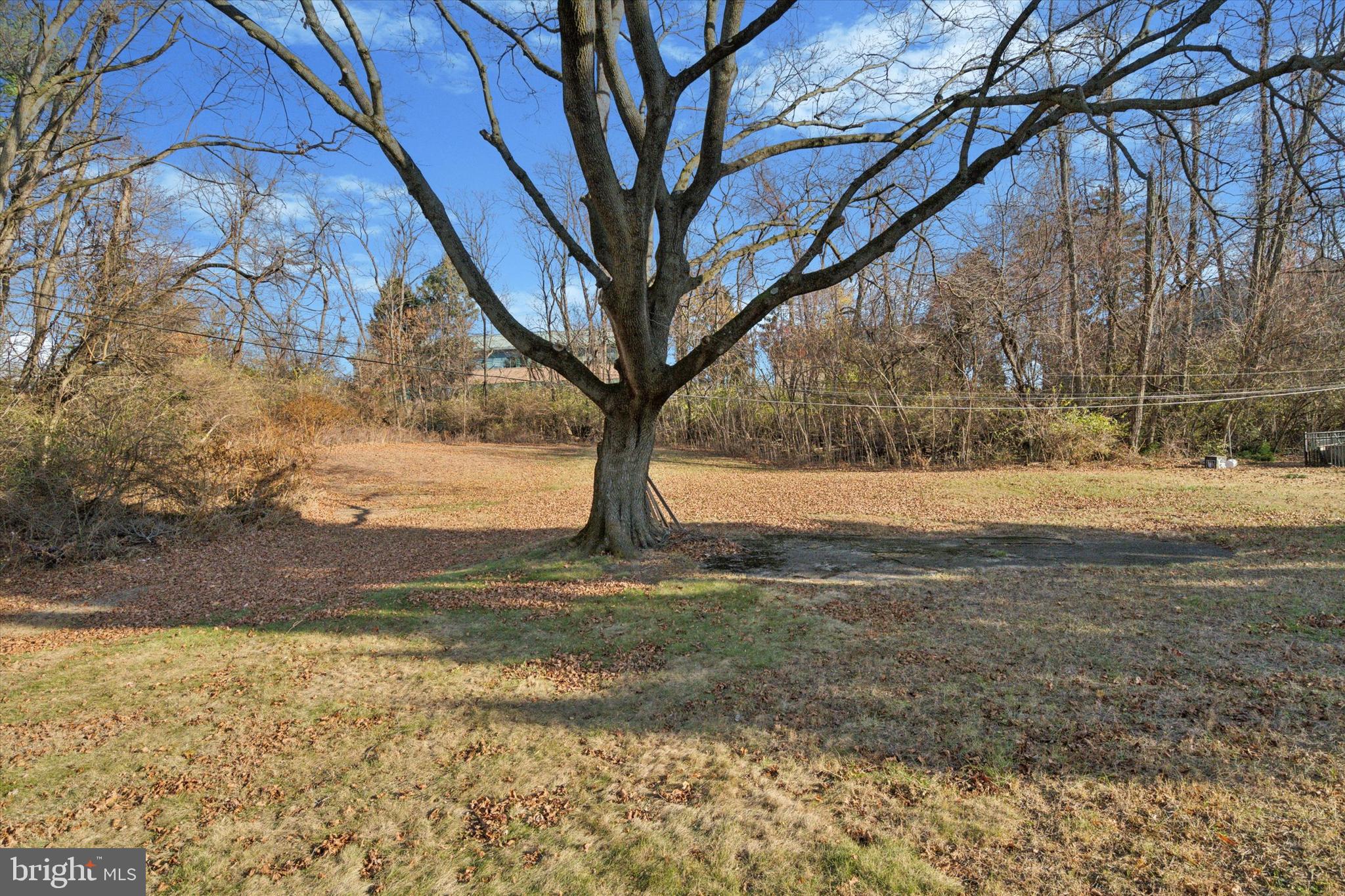 17 Pearson Circle Springfield, PA 19064 - Photo 24 of 34 Lovely Shade tree in rear yard