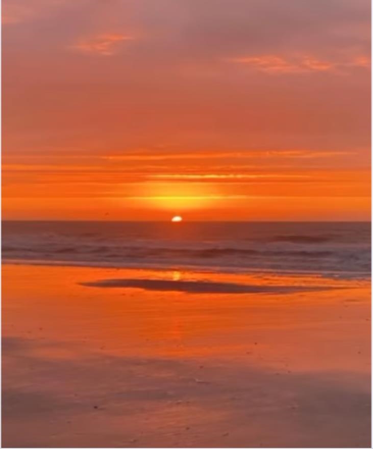 214 Maison Drive, Unit P303 Myrtle Beach, SC 29572 - Photo 36 of 36