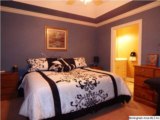 393 Indian Hills Road Hayden, AL 35079 - Photo 14 of 19