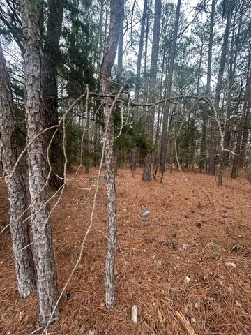 $199,000 | 220 East Lincolnton Ga 30817, Lincolnton, GA 30817