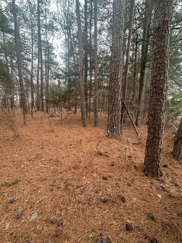 $199,000 | 220 East Lincolnton Ga 30817, Lincolnton, GA 30817