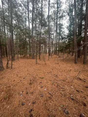 $199,000 | 220 East Lincolnton Ga 30817, Lincolnton, GA 30817