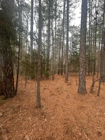 $199,000 | 220 East Lincolnton Ga 30817, Lincolnton, GA 30817