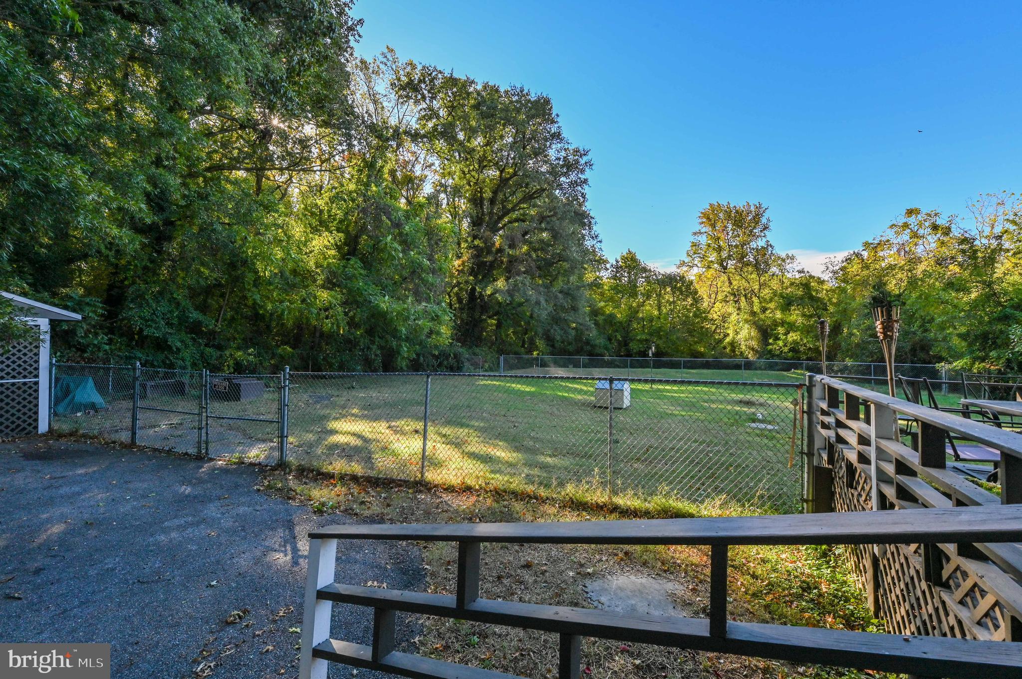 Gorgeous wooded views