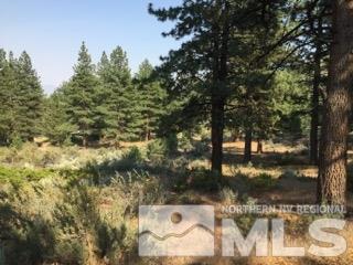 4641 Wagon Wheel Road Carson City, NV 89703 - Photo 1 of 1 Photo 1
