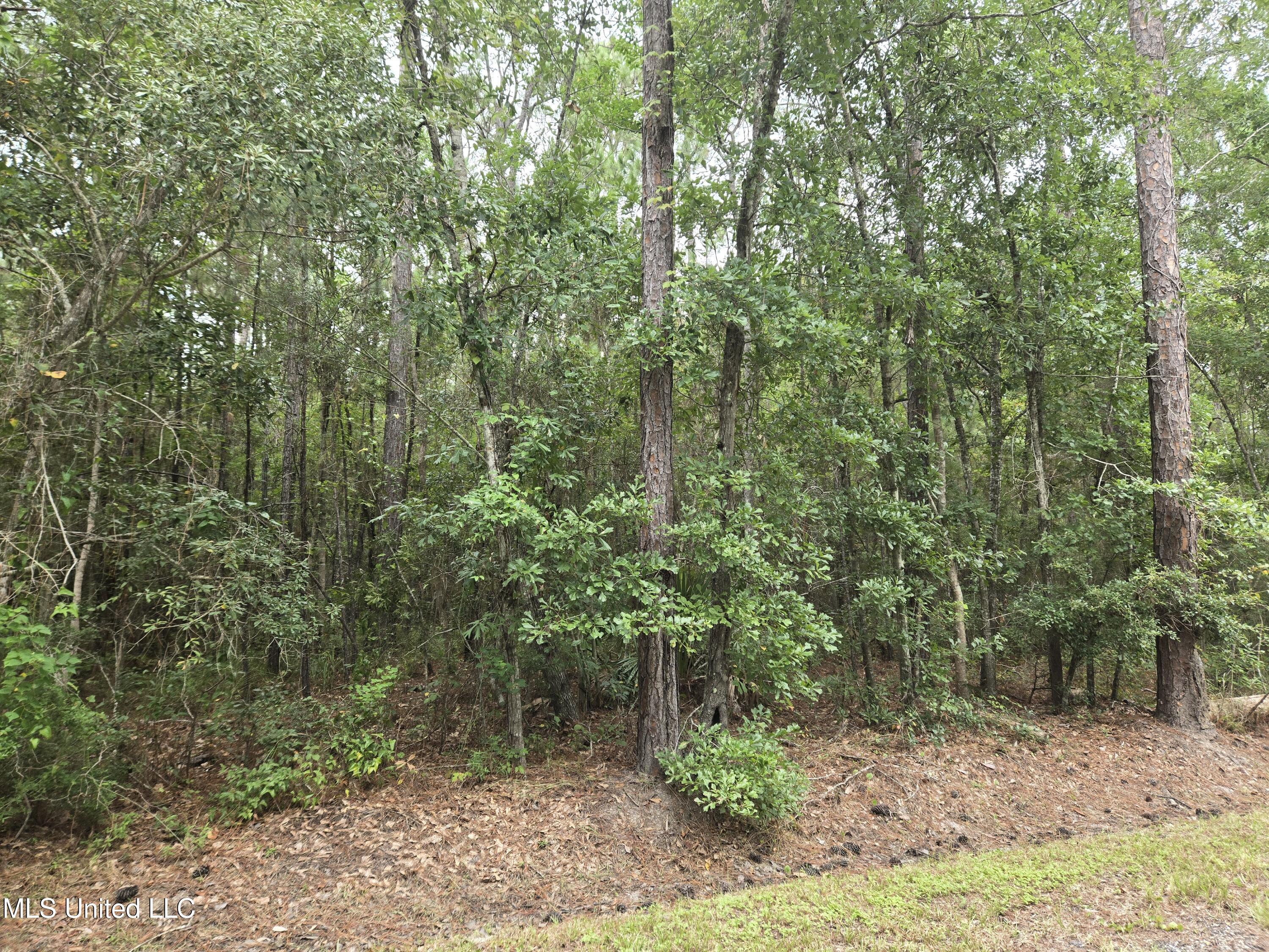 4010 10th Street Bay St. Louis, MS 39520 - Photo 5 of 5 20250812_092046