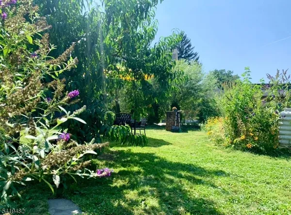 a view of plant in a garden