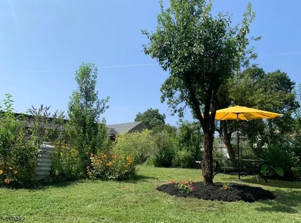 a view of a backyard