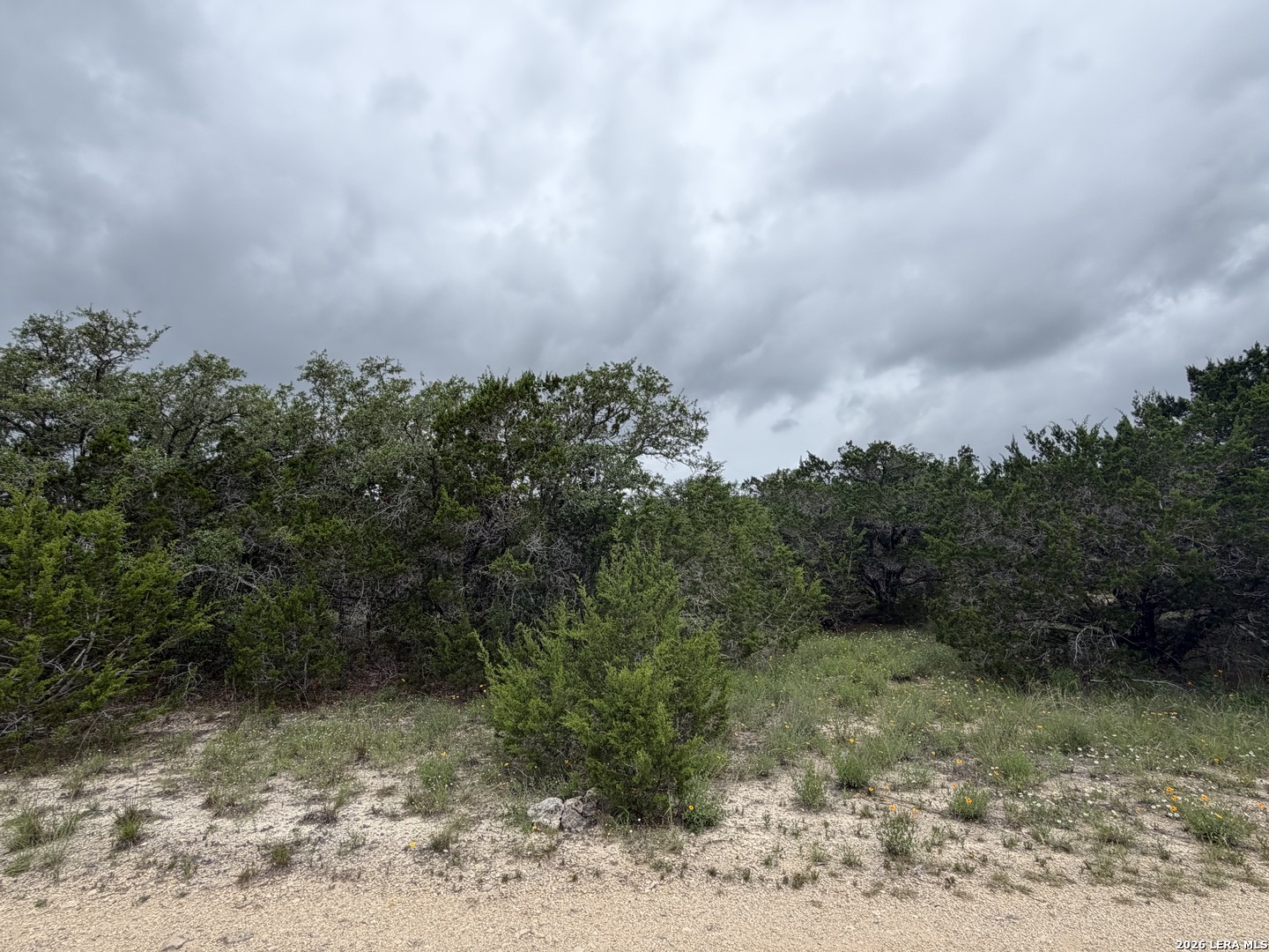 Lot 36 Cliff Drive Spring Branch, TX 78070 - Photo 1 of 5