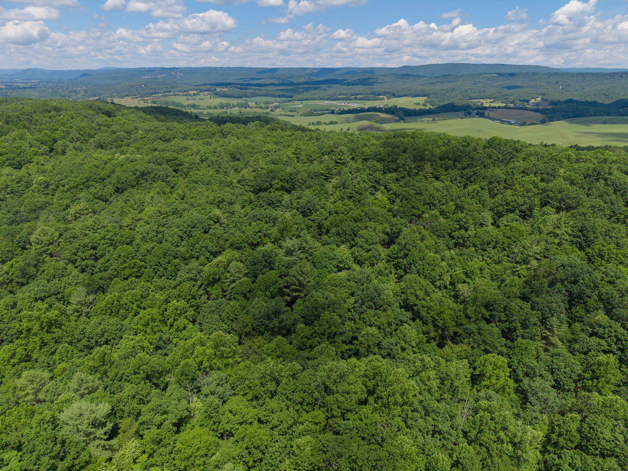 Tbd Locust Hill Road Max Meadows, VA 24360 - Photo 12 of 15 Gallery Image 12