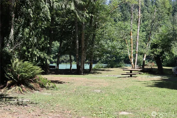 a view of a park with large trees