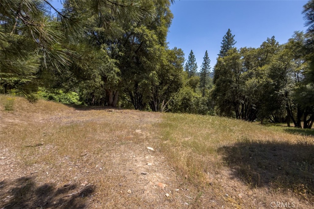 2397 Parmabelle Road Mariposa, CA 95338 - Photo 12 of 34 a view of outdoor space with trees all around