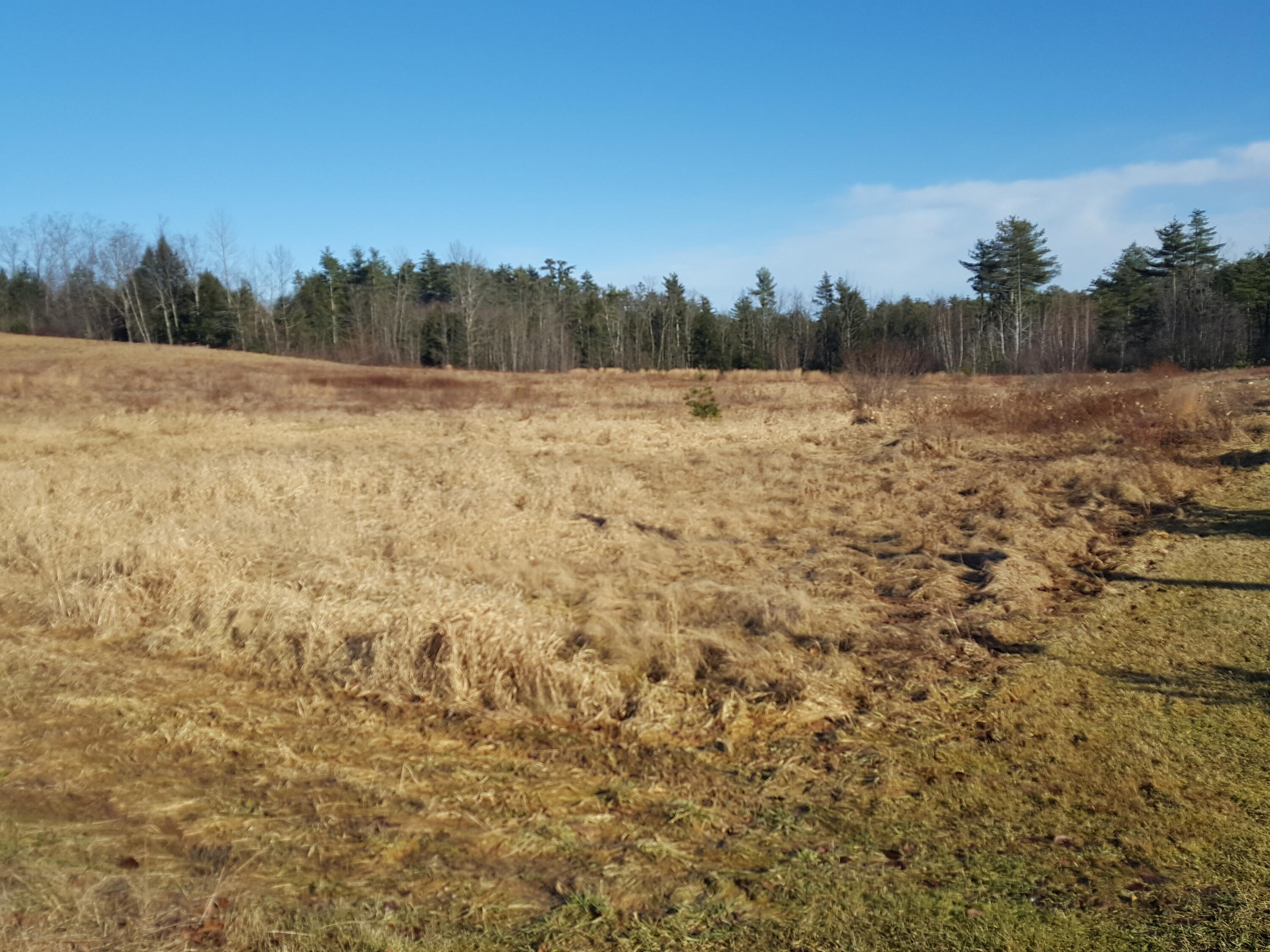 88 Mitchell Hill Road Gorham, ME 04038 - Photo 3 of 99 20231220_124605