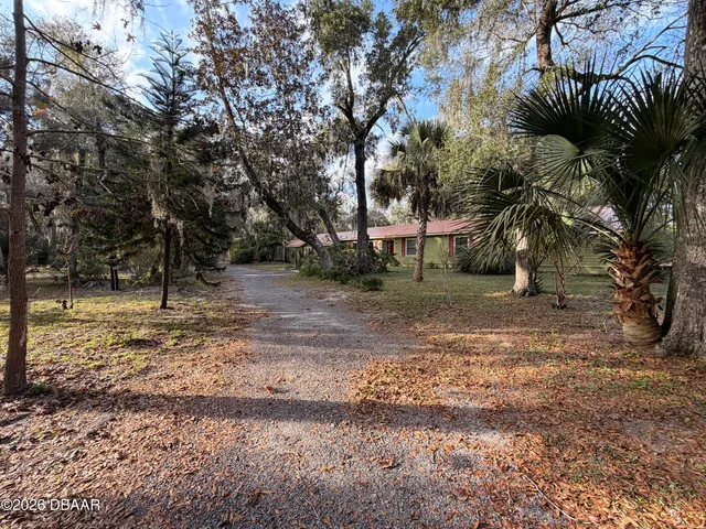a view of a house with large tree