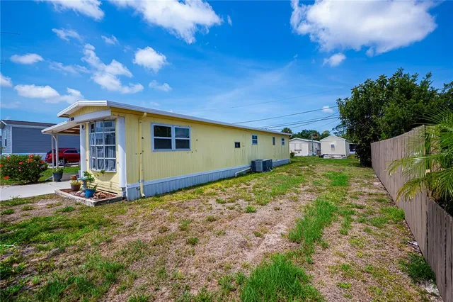 a view of a backyard with plants and large tree