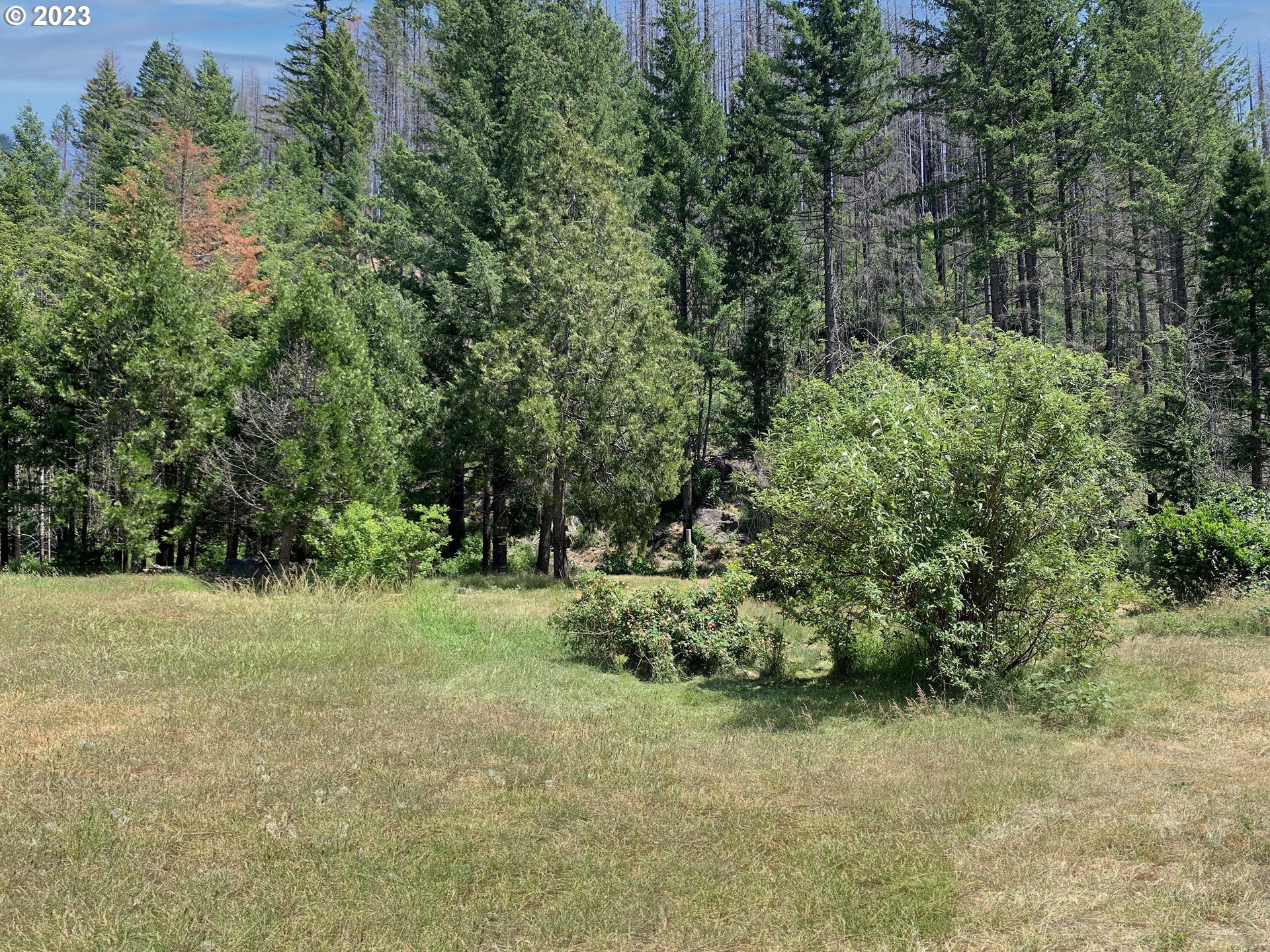 Rose Street, Unit 3100 Blue River, OR 97413 - Photo 3 of 16 Gallery Image 3