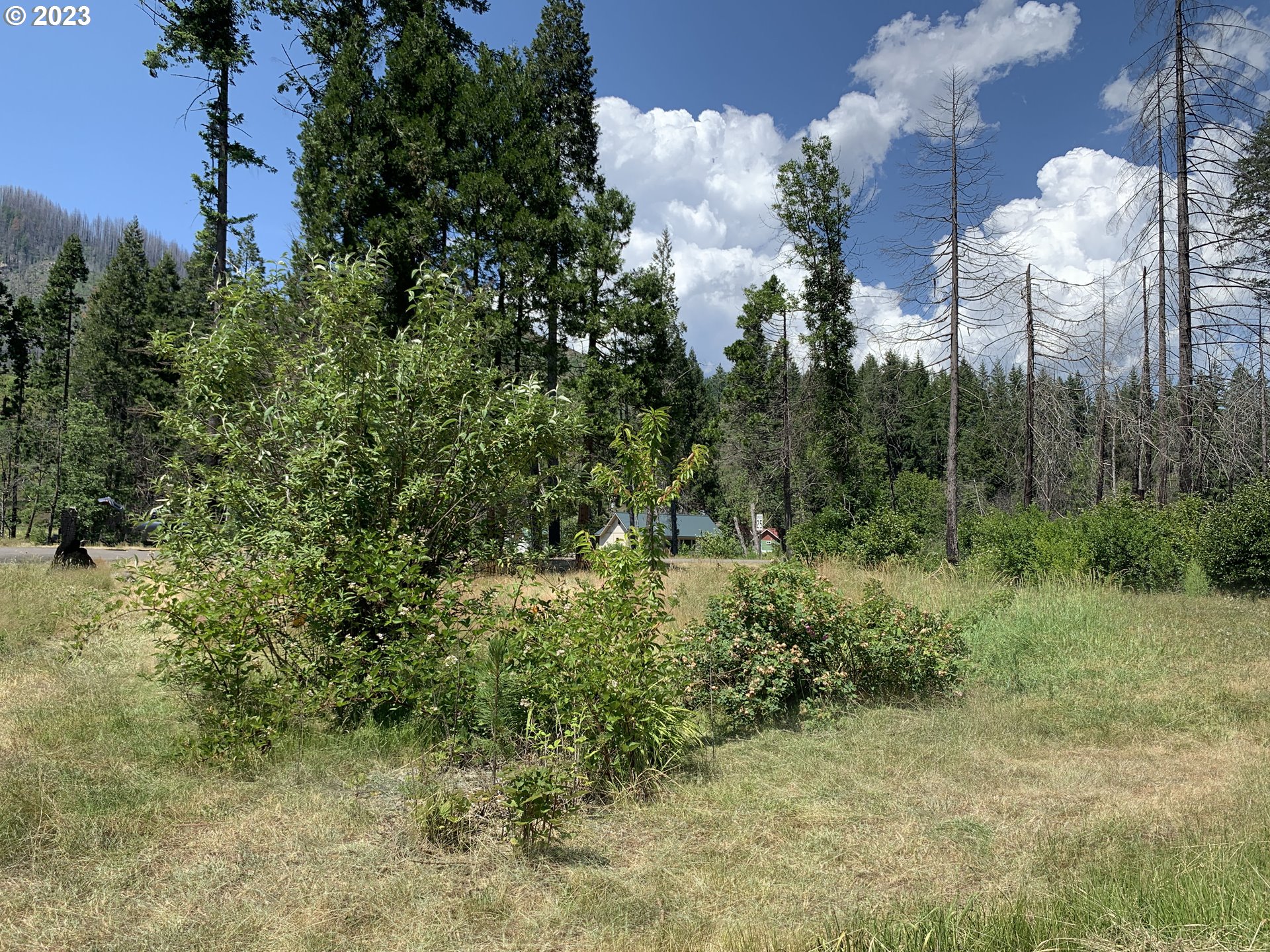 Rose Street, Unit 3100 Blue River, OR 97413 - Photo 5 of 16 Gallery Image 5