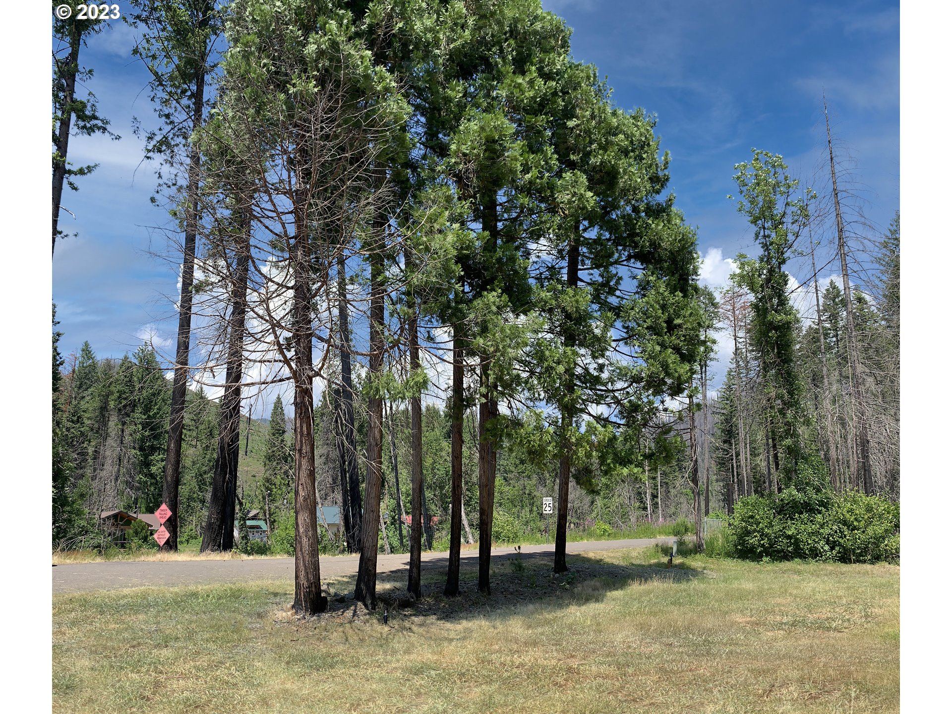 Rose Street, Unit 3100 Blue River, OR 97413 - Photo 9 of 16 Gallery Image 9