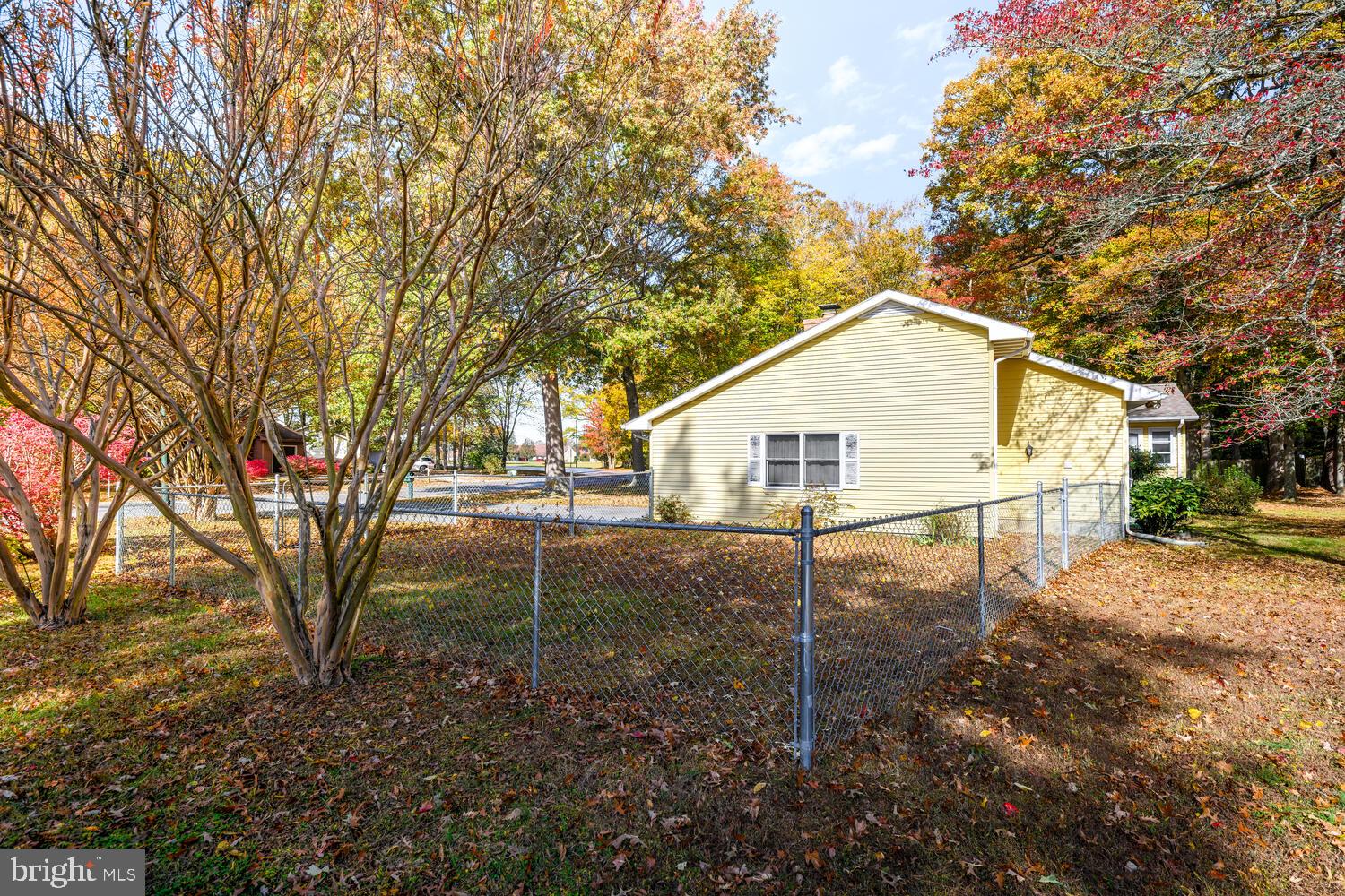29202 Holly Road Easton, MD 21601 - Photo 6 of 34 a view of a backyard with large trees