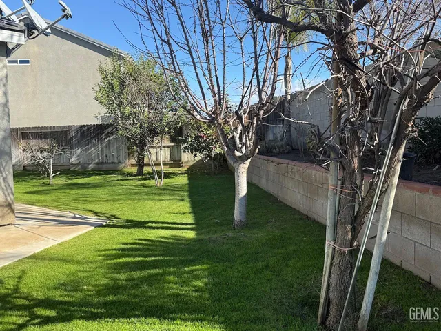 a view of a park with large trees