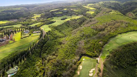 a view of a lake with a mountain