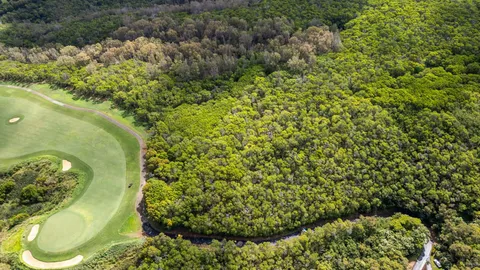 an aerial view of residential houses with outdoor space and trees
