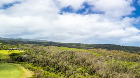 a view of an ocean and beach