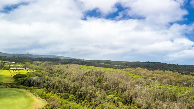a view of an ocean and beach