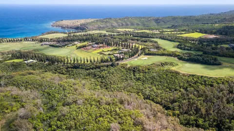 an aerial view of residential houses with outdoor space and trees