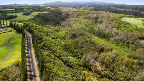 a view of a city with lush green forest