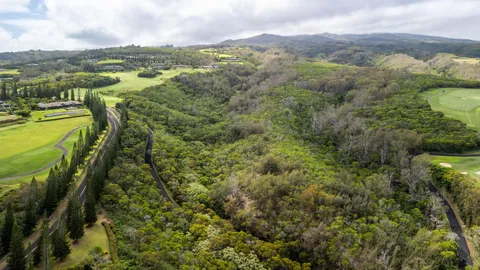 a view of a lake with a city
