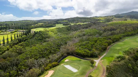 a view of a yard with plants