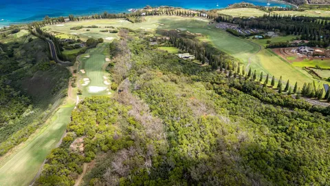 $995,000 | 0 Plantation Estates Drive, Lahaina, HI 96761