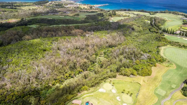a view of a field with an ocean