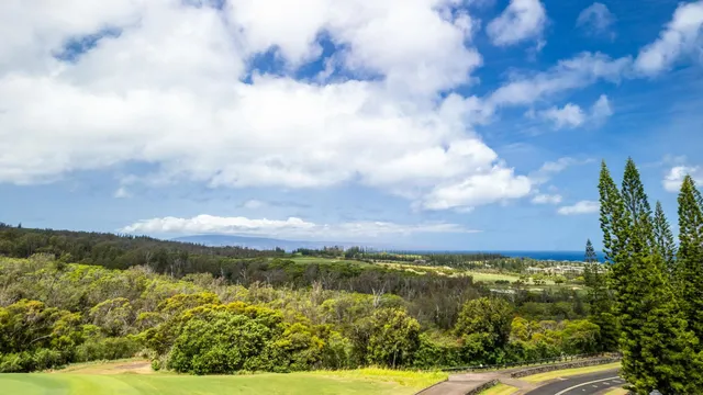 a view of an outdoor of sunset