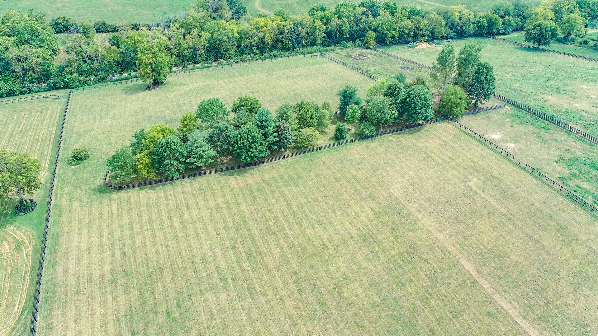 1282 Millersburg Road Paris, KY 40361 - Photo 8 of 44 DJI_0061-1