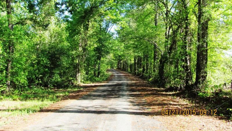 Lot 1 Jim Smith Road Pendleton, SC 29670 - Photo 1 of 7