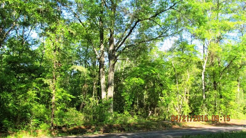 Lot 1 Jim Smith Road Pendleton, SC 29670 - Photo 2 of 7