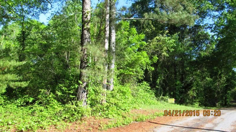Lot 1 Jim Smith Road Pendleton, SC 29670 - Photo 3 of 7