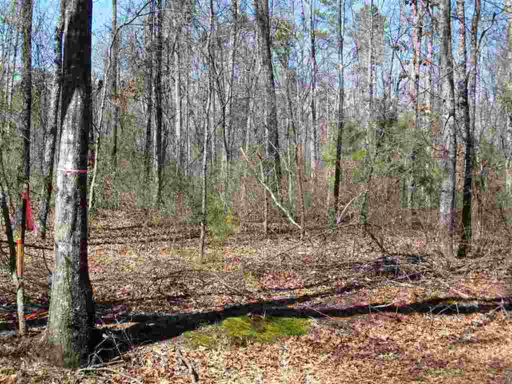 Lot 1 Jim Smith Road Pendleton, SC 29670 - Photo 5 of 7